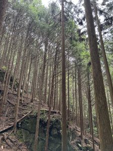 IMG_1063
