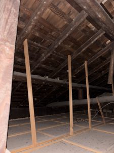 IMG_5220
